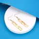 Surgical Steel Dangle Earrings 304 Stainless Steel with Gold Plated Surgical Steel Dangle Earr... 5
